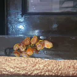 Carlenian Wall Hanging/ Paperweight