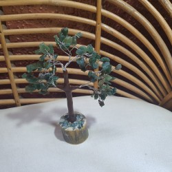 Green Jade Tree