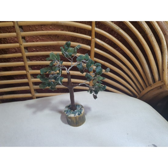 Green Jade Tree
