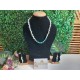 HOWLITE Crystal with Turquoise  Necklace with Earrings 