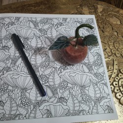 Red Jasper Paperweight