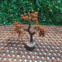 Rudraksh Tree with Rudraksh Beads with wooden base