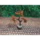 Rudraksh Tree with Rudraksh Beads with wooden base