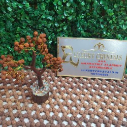 Rudraksh Tree with Rudraksh Beads with wooden base