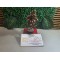 RUDRAKSH WITH CLEAR QUARTZ CRYSTAL TREE WITH WOODEN BASE