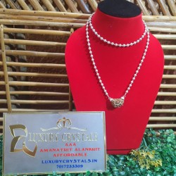 1 Mukhi Rudraksha with Silver Chain