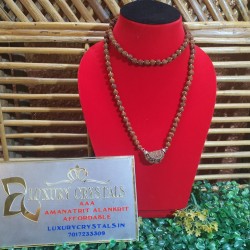 1 Mukhi Rudraksha with 5 mukhi Rudraksha beads mala