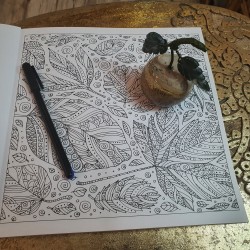 Tiger Eye Paperweight