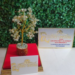 GREEN Aventurine CRYSTAL  Tree With Wooden Base