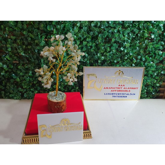 GREEN Aventurine CRYSTAL  Tree With Wooden Base