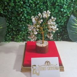 Moon Stone Crystal Tree with wooden base 
