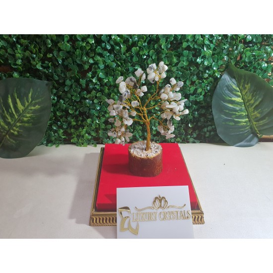 Moon Stone Crystal Tree with wooden base 
