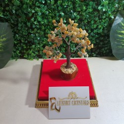 Calcite CRYSTAL tree with wooden base