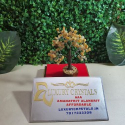 Calcite CRYSTAL tree with wooden base