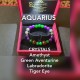 Aquarius Crystal Bracelet